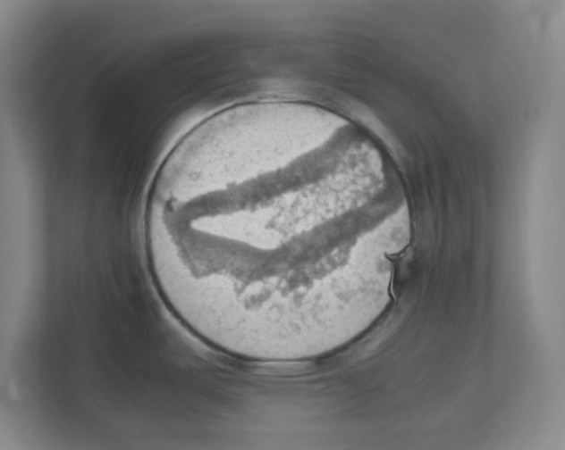 X0000111861487200908201247