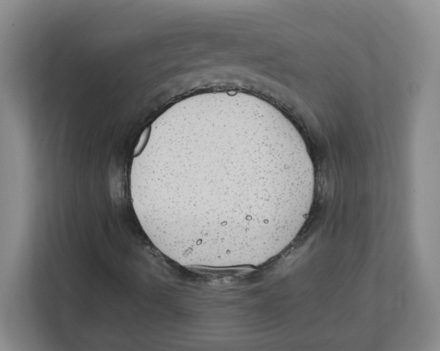 X0000111861490200908201246