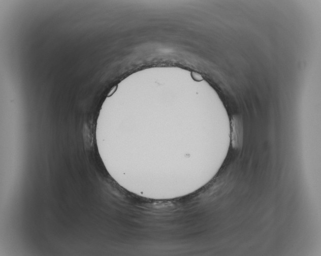 X0000111861491200908201246