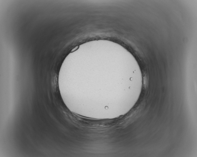 X0000111861492200908201246