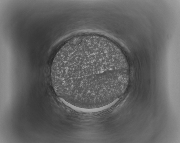 X0000111861494200908201247