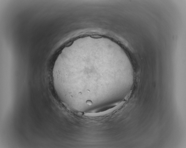X0000111861496200908201247