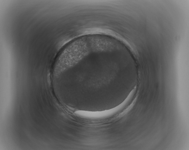 X0000111861497200908201247