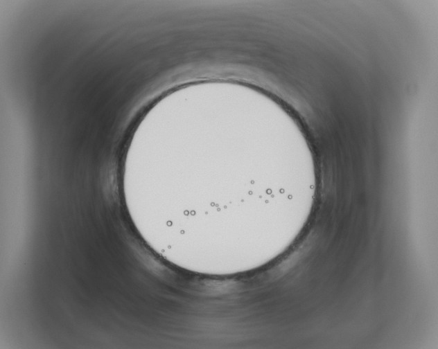 X0000111861498200908201247