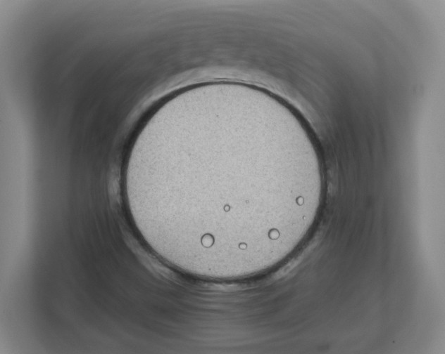 X0000111861499200908201247
