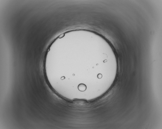 X0000111861500200908201247