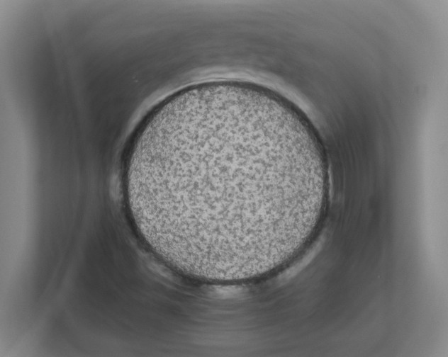 X0000111861501200908201247