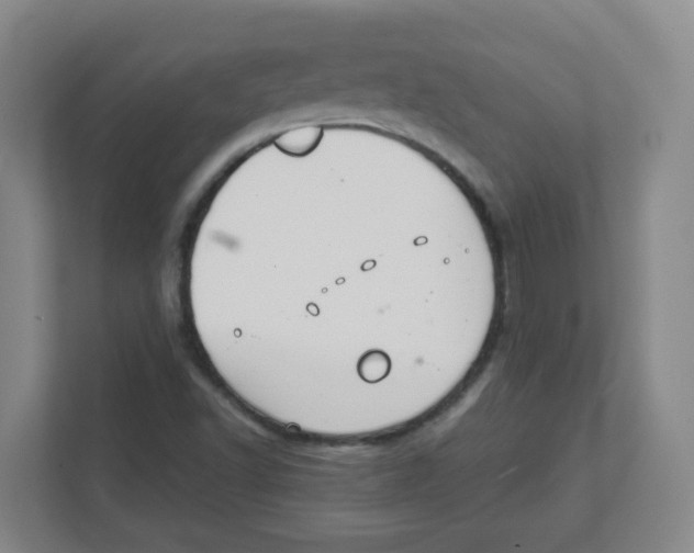 X0000111861502200908201247