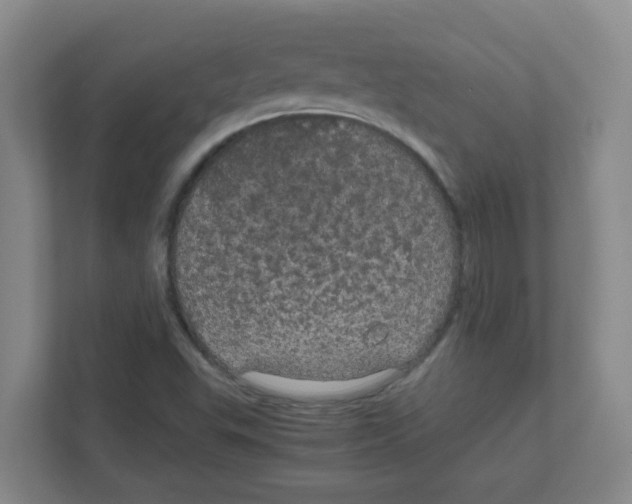 X0000111861503200908201247