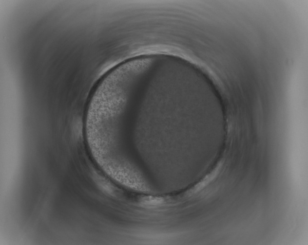 X0000111861505200908201247