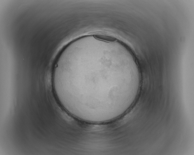 X0000111861506200908201247