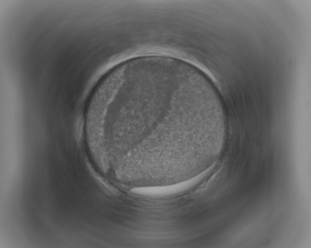 X0000111861507200908201247