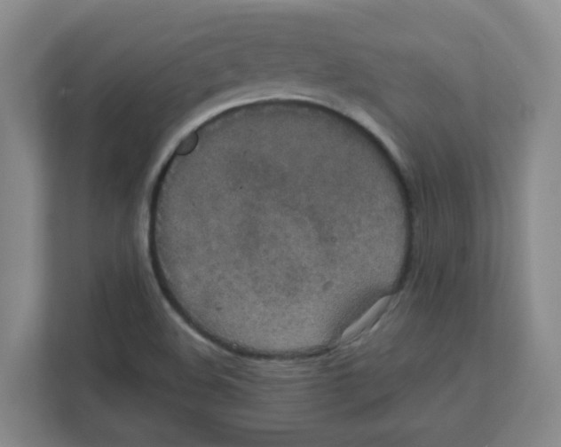X0000111861508200908201247