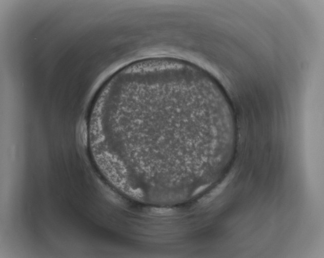 X0000111861509200908201247