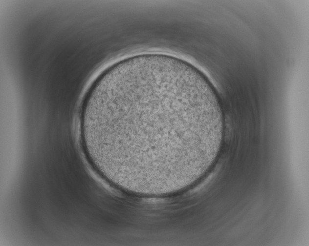 X0000111861511200908201247