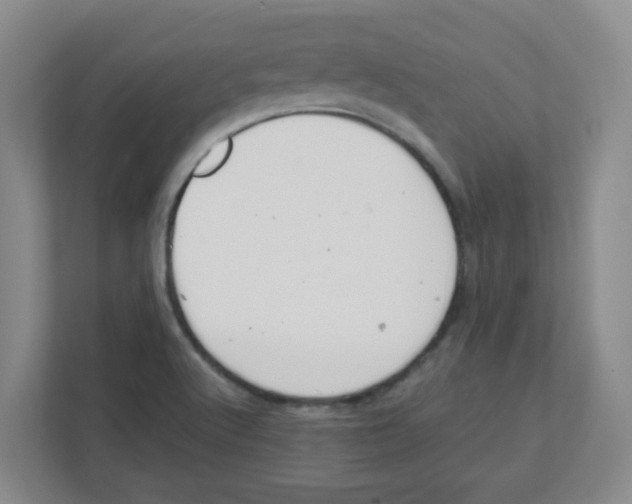 X0000111861512200908201247