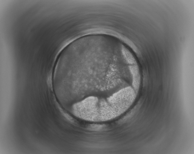 X0000111861513200908201247