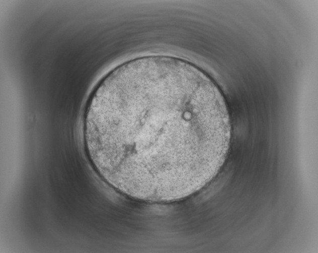 X0000111861514200908201247