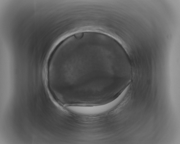 X0000111861515200908201247