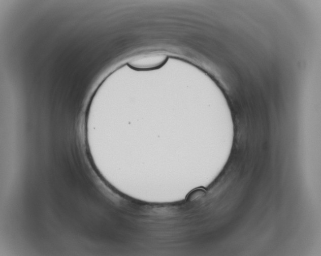 X0000111861516200908201247