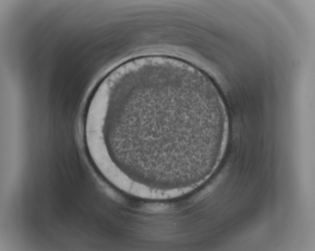 X0000111861517200908201247