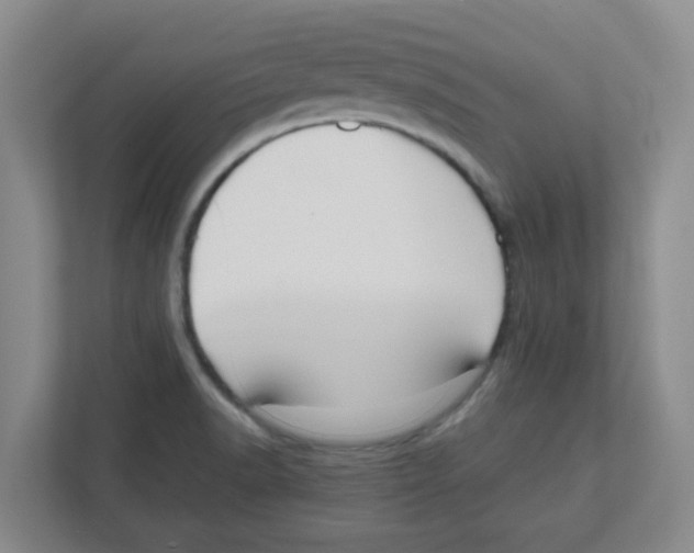 X0000111861518200908201247