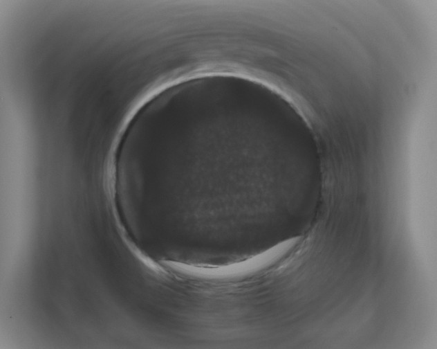 X0000111861519200908201247