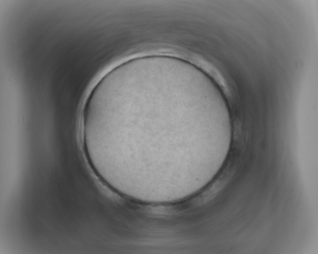 X0000111861520200908201247