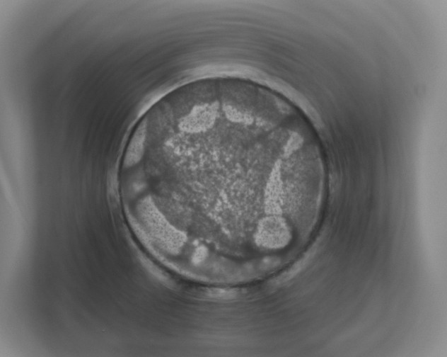 X0000111861521200908201247