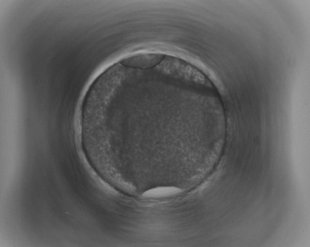 X0000111861522200908201247