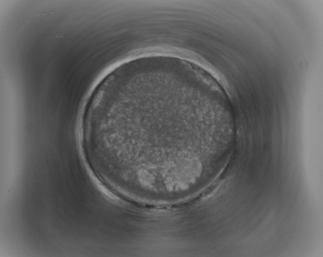 X0000111861523200908201247