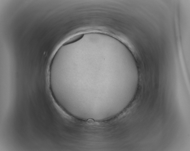 X0000111861524200908201247