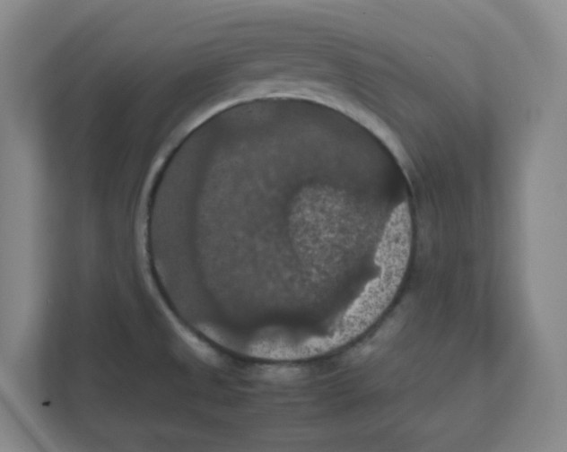 X0000111861525200908201247