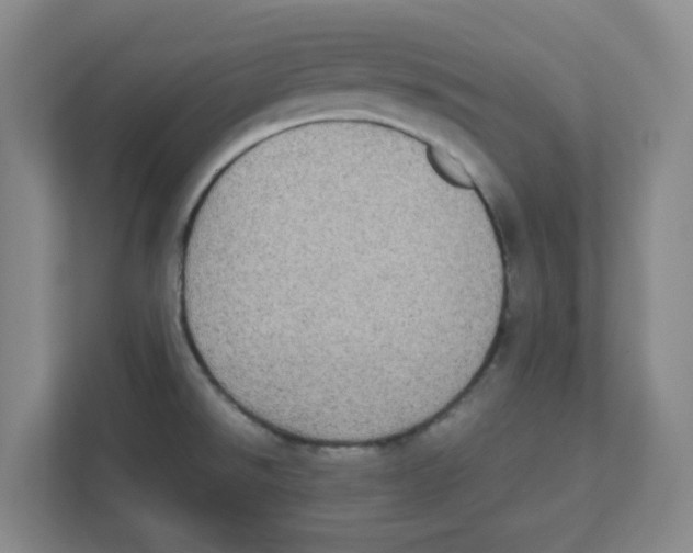 X0000111861526200908201247