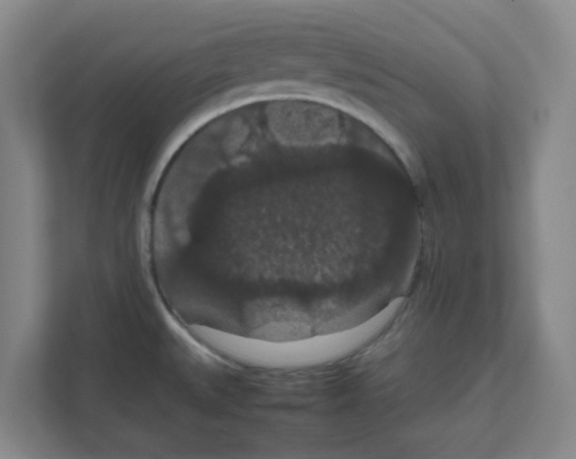 X0000111861527200908201247