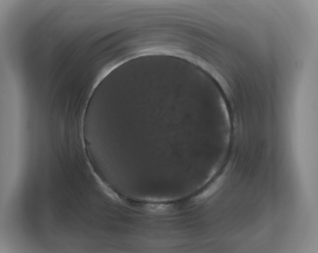 X0000111861529200908201247