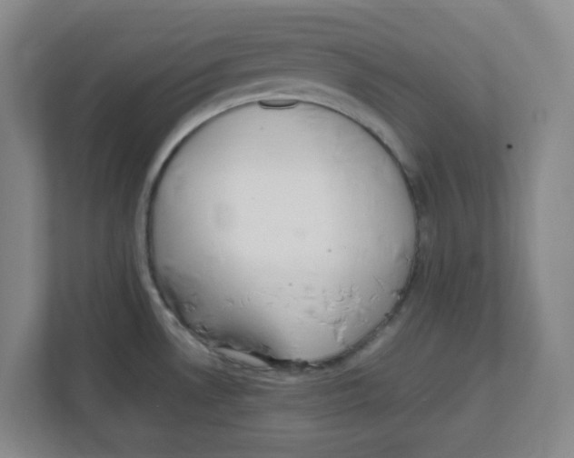 X0000111861530200908201247