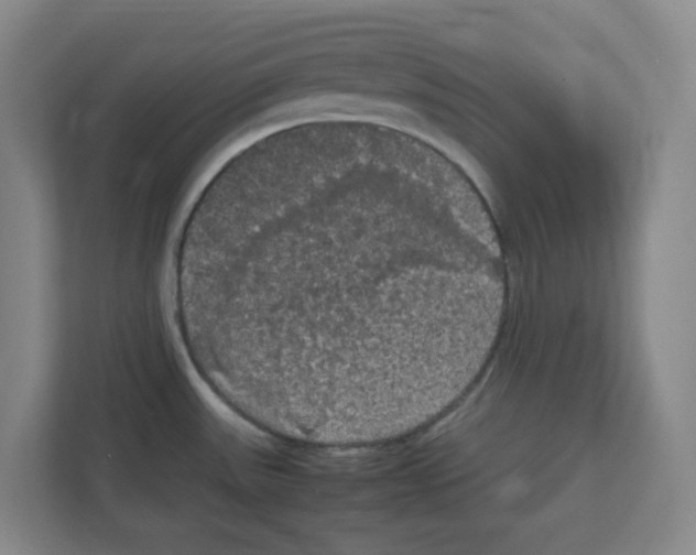X0000111861531200908201247