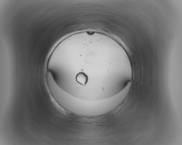 X0000111861532200908201247