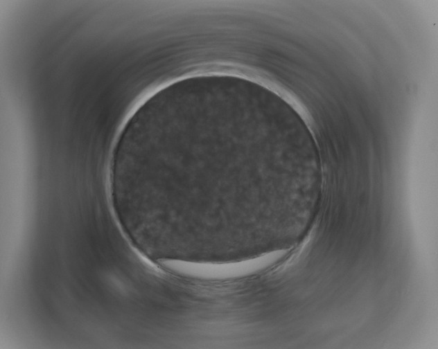 X0000111861533200908201247