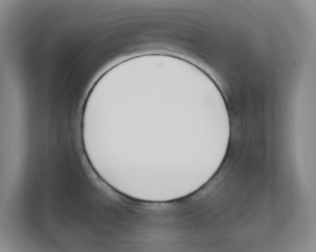 X0000111861534200908201247