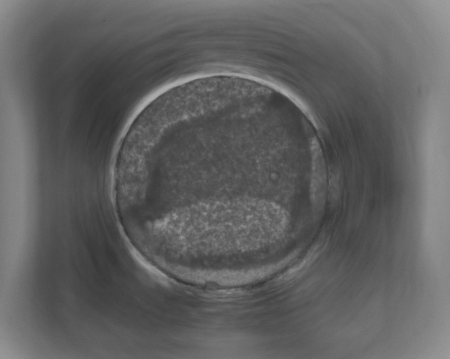 X0000111861535200908201247