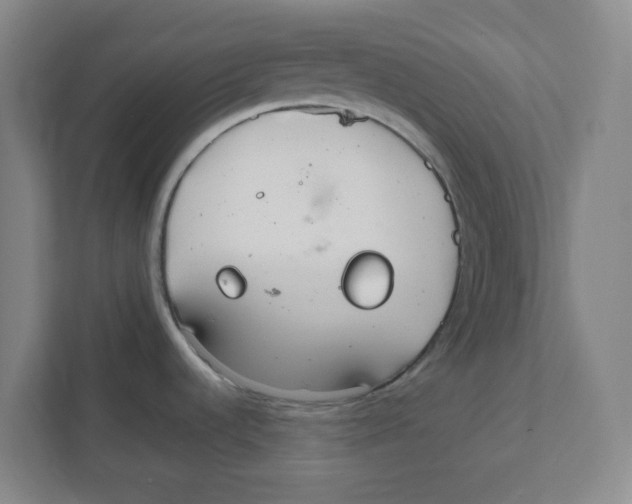 X0000111861536200908201247