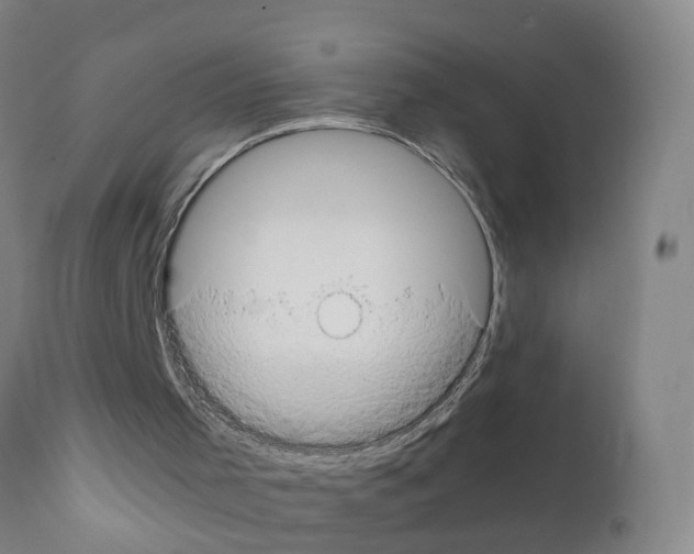 X0000111860001200909031802
