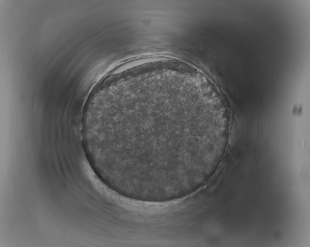 X0000111860002200909031802