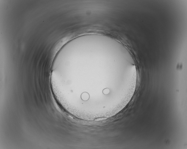 X0000111860003200909031802
