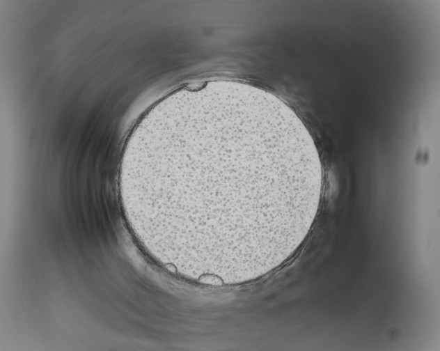 X0000111860004200909031802