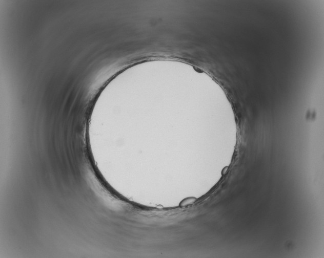 X0000111860005200909031802