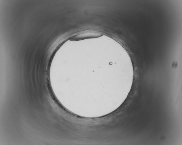 X0000111860007200909031802