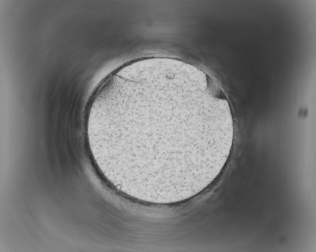 X0000111860008200909031802